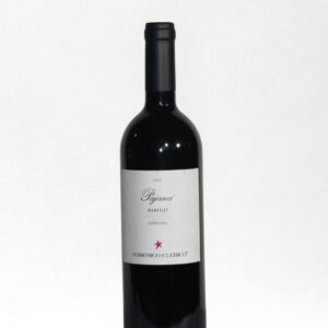 2018 Domenico Clerico, Pajana, Barolo